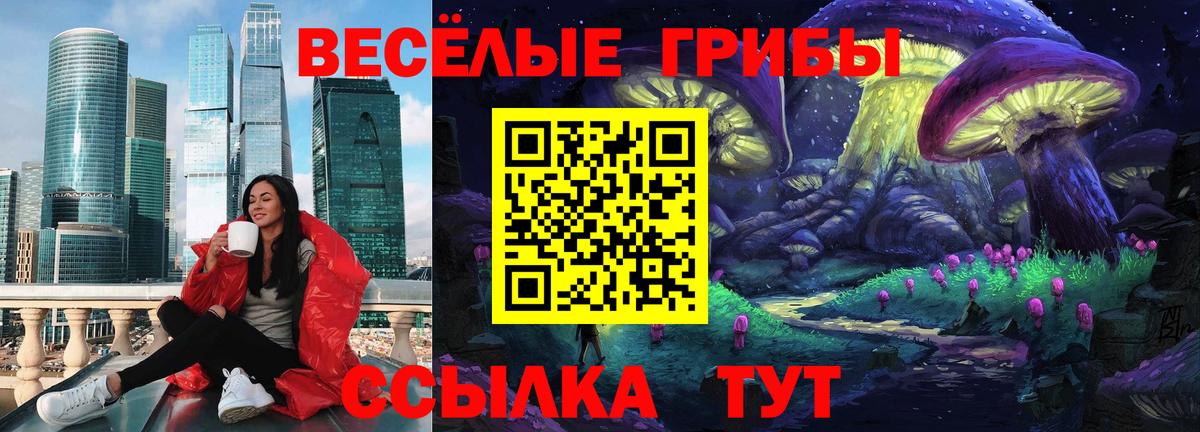 Ленинск-Кузнецкий  Псилоцибиновые грибы прущие грибы  Вход с VPN 