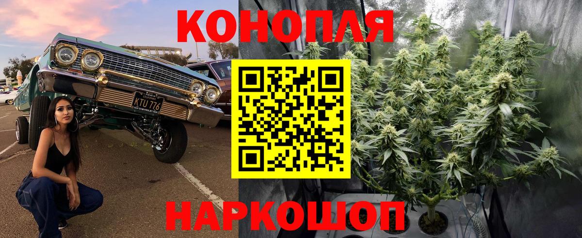 МАРИХУАНА White Widow  Шишки марихуана LSD WEED  Марихуана THC 21%  Ленинск-Кузнецкий  Вход с VPN 